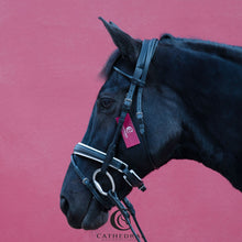 Load image into Gallery viewer, HANBY Snaffle Bridle In Rolled Leather & White Padded Nose Band, Comfort Headpiece & Rolled Leather Reins