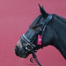Load image into Gallery viewer, HANBY Snaffle Bridle In Rolled Leather & White Padded Nose Band, Comfort Headpiece & Rolled Leather Reins