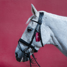 Load image into Gallery viewer, HATTON Snaffle Bridle In Rolled Leather, Including Reins & Plain Rolled Browband With Comfort Headpiece
