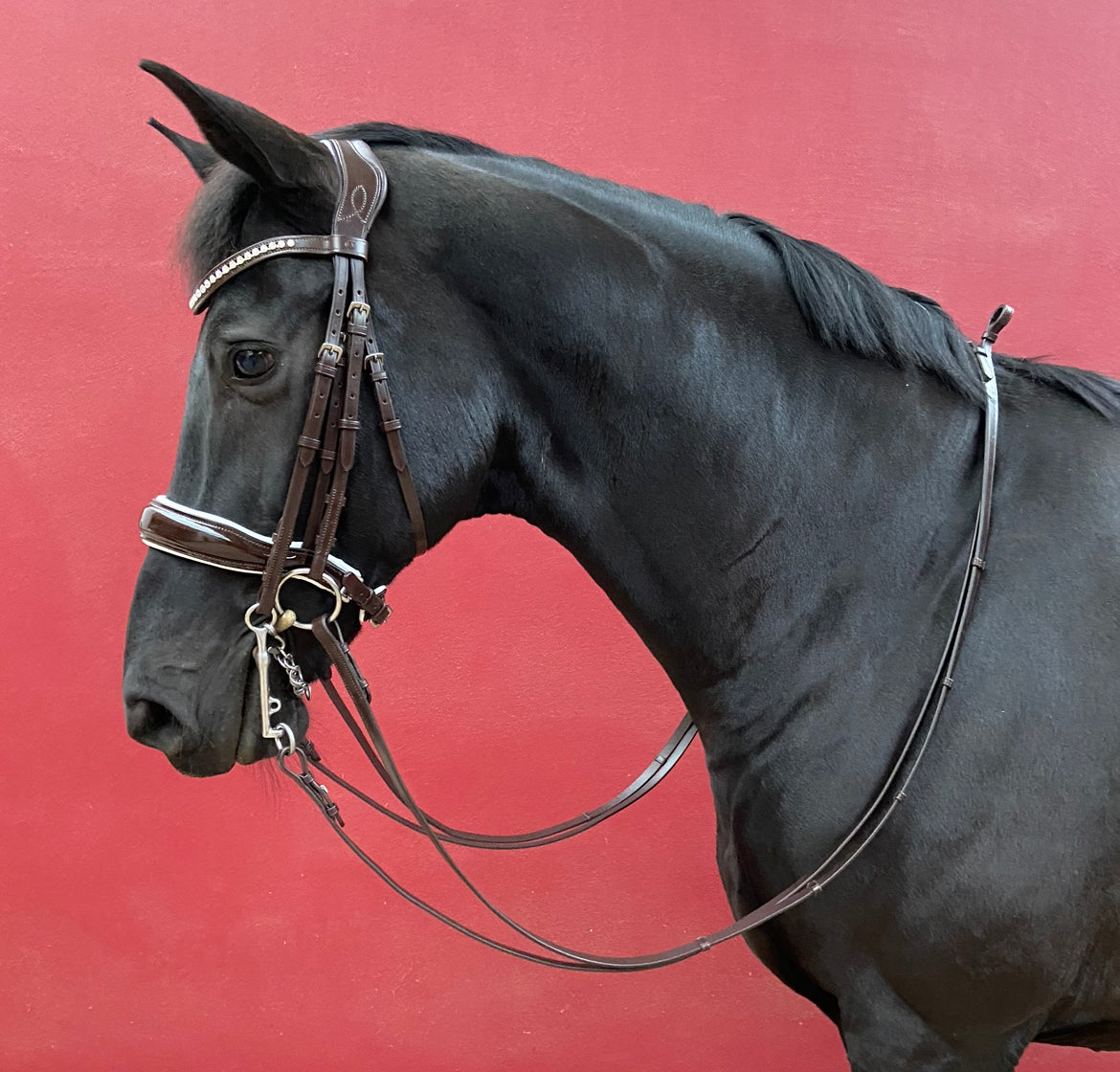 Soft Padded Leather reins – Cathedral Equine