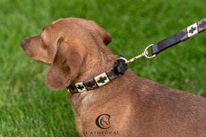 Dog Collar polo style light and dark brown on brown leather with gold fittings