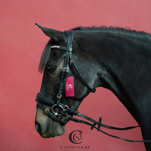 AYLESBY Snaffle Bridle With Padded Crank & Flash Noseband