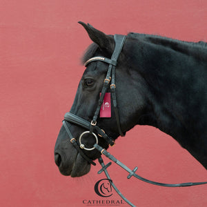 AYLESBY Snaffle Bridle With Padded Crank & Flash Noseband