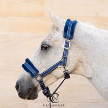 Load image into Gallery viewer, Head Collar With Fleece Trim in black and blue by