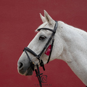 FENTON Snaffle Bridle With Flash And Black Leather Browband