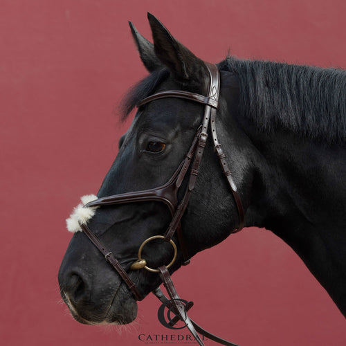 GLENTHAM Brown Snaffle Bridle With Mexican Grackle Anatomically Fitted Noseband