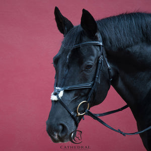 GREETWELL Black Snaffle Bridle With Mexican Grackle Anatomically Fitted Noseband