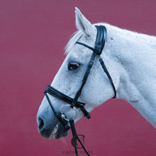 Load image into Gallery viewer, HAINTON Snaffle Bridle In Rolled Leather With Patent Crocodile Flash Noseband