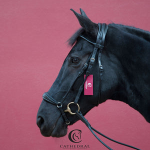 HALLINGTON Snaffle Bridle In Rolled Leather, Comfort Headpiece & Plain Browband With Rolled Leather Reins