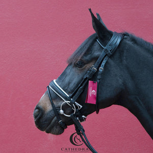 HANBY Snaffle Bridle In Rolled Leather & White Padded Nose Band, Comfort Headpiece & Rolled Leather Reins