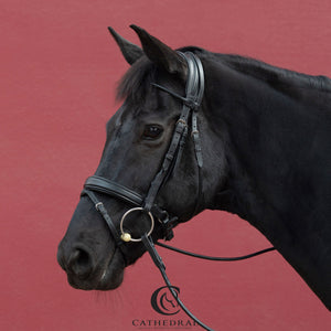 HATTON Snaffle Bridle In Rolled Leather, Including Reins & Plain Rolled Browband With Comfort Headpiece