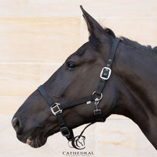 Load image into Gallery viewer, Black &amp; Navy Headcollar