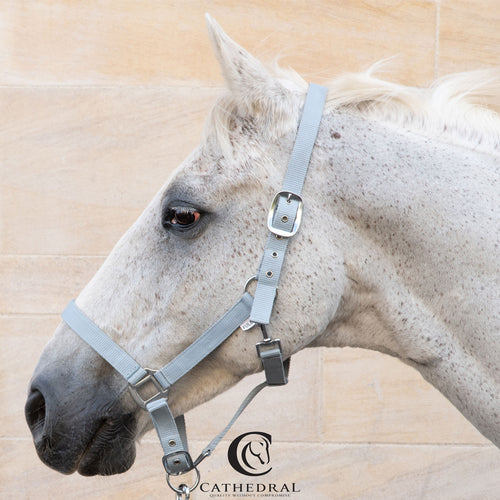 Grey Headcollar