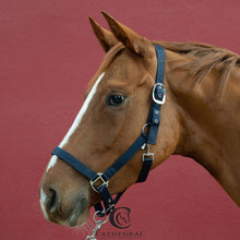 Load image into Gallery viewer, Black &amp; Navy Headcollar