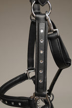 Load image into Gallery viewer, Crystal Padded Leather Headcollar