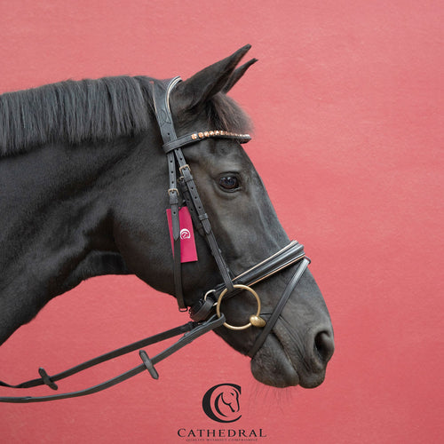 INGHAM Snaffle Bridle With Rose Gold Piping, Flash Noseband And Rose Gold Crystal Browbandi