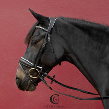 Load image into Gallery viewer, LANGRICK Snaffle Bridle With White Padded Headpiece, Flash Noseband &amp; Clear Crystal Browband