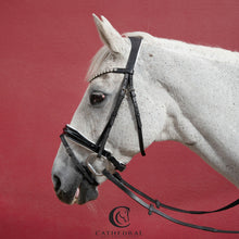 Load image into Gallery viewer, LENTON Snaffle Bridle With White Patent Flash Noseband, White Padded Headpiece &amp; Crystal Browband