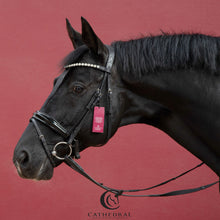 Load image into Gallery viewer, LINCOLN Snaffle Bridle With Patent Flash Noseband And Clear Crystal Browband