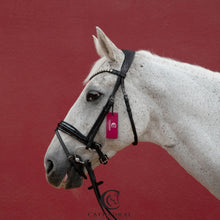 Load image into Gallery viewer, LUDFORD Snaffle Bridle With Crocodile Patent Flash Noseband &amp; Crystal Browband