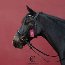 Load image into Gallery viewer, LUDFORD Snaffle Bridle With Crocodile Patent Flash Noseband &amp; Crystal Browband