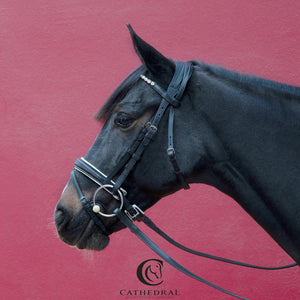 RAND Snaffle Bridle With White Padded Flash Noseband, Comfort Headpiece & a clear Crystal Browband