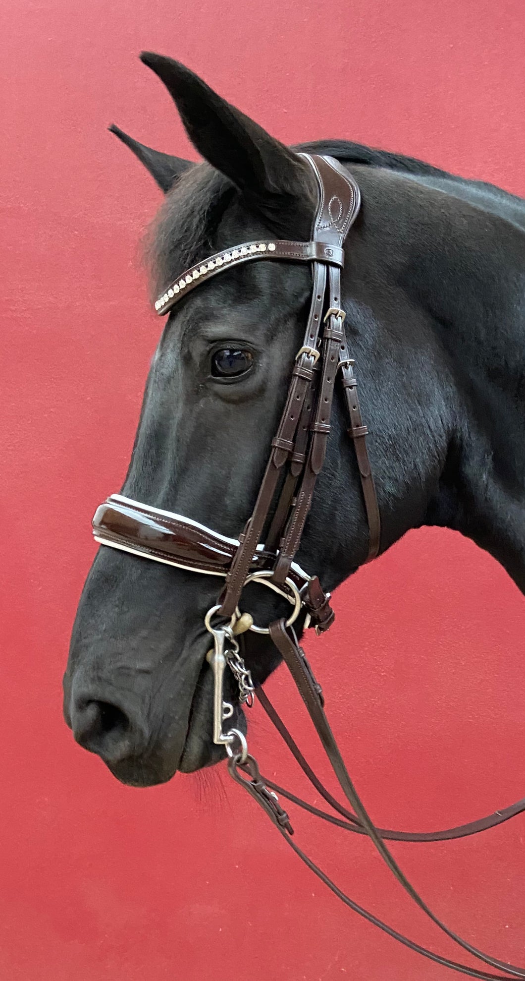 HECKLINGTON - prestige brown double bridle with soft headpiece and white padded patent noseband inc reins
