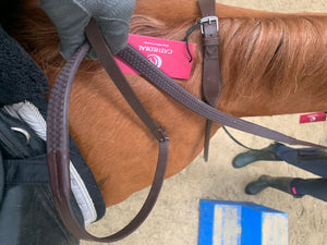 Brown rubber reins