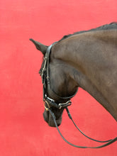 Load image into Gallery viewer, SWALLOW Snaffle Rolled Bridle With White Cavesson Padded Noseband &amp; Leather rolled reins