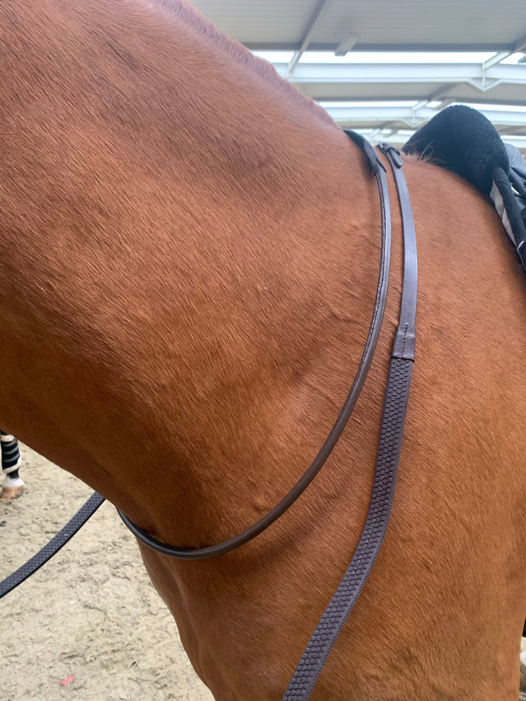 Brown rubber reins