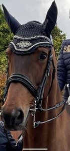 TALLINGTON - prestige super soft double bridle with sensitive headpiece in rolled leather with black patent noseband