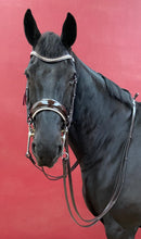Load image into Gallery viewer, HECKLINGTON - prestige brown double bridle with soft headpiece and white padded patent noseband inc reins